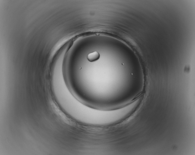 X0000113251122200909171619