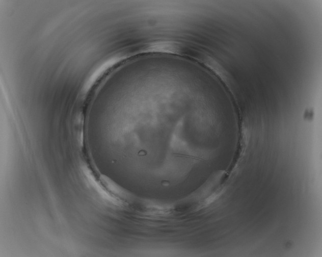 X0000113251123200909171619