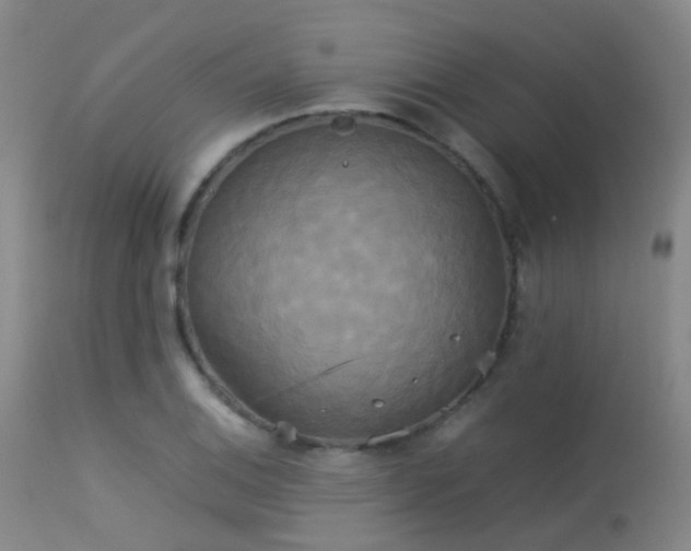 X0000113251124200909171619