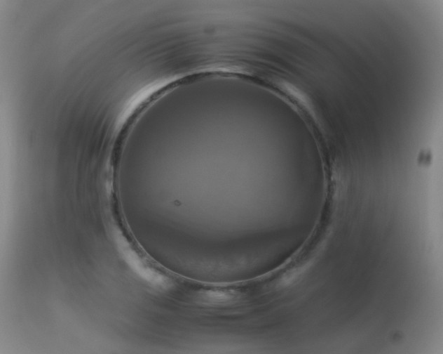 X0000113251125200909171619