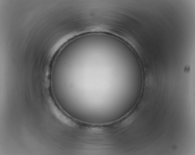 X0000113251126200909171619