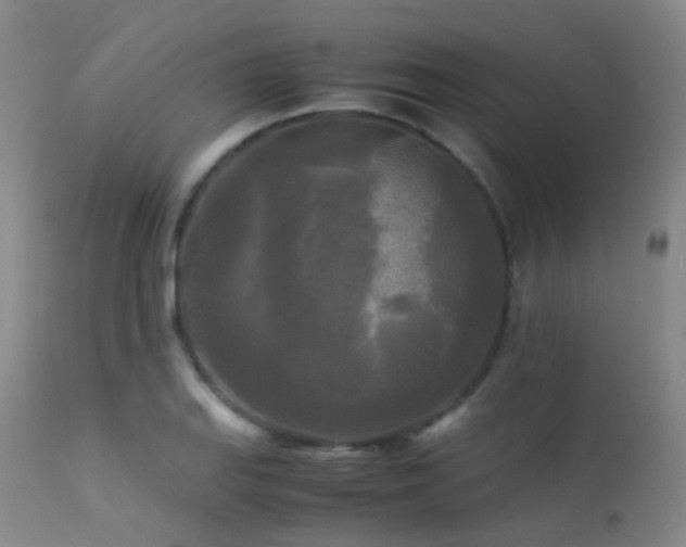 X0000113251127200909171619