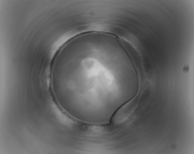 X0000113251128200909171619