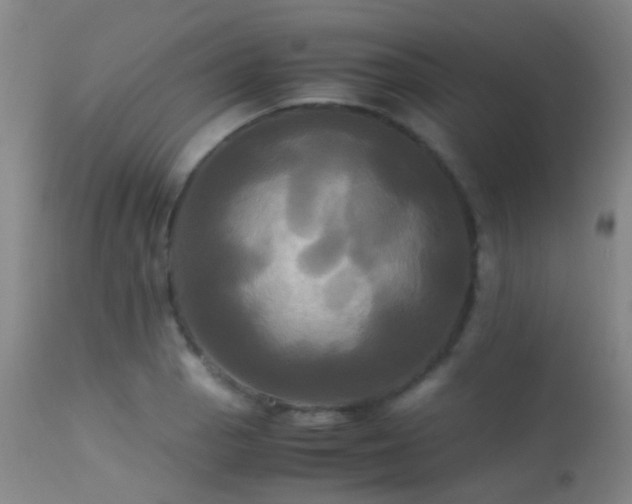 X0000113251129200909171619