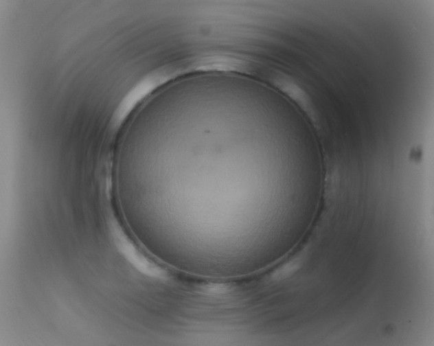 X0000113251130200909171619