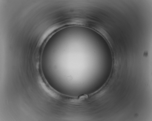 X0000113251131200909171619