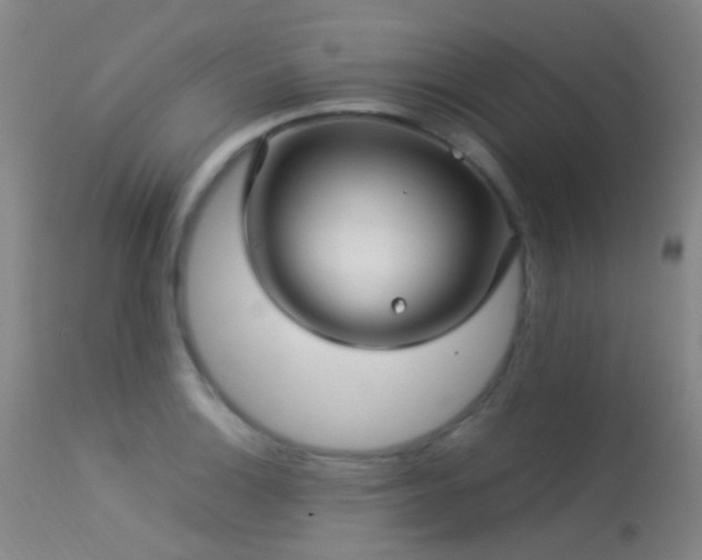 X0000113251132200909171619