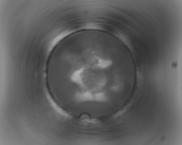 X0000113251133200909171619