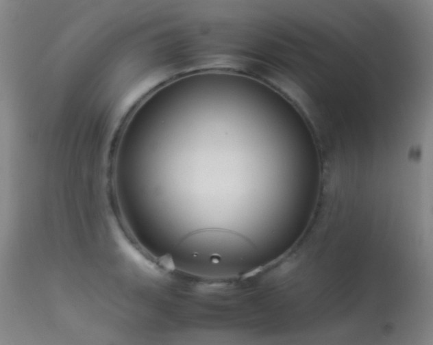 X0000113251135200909171619