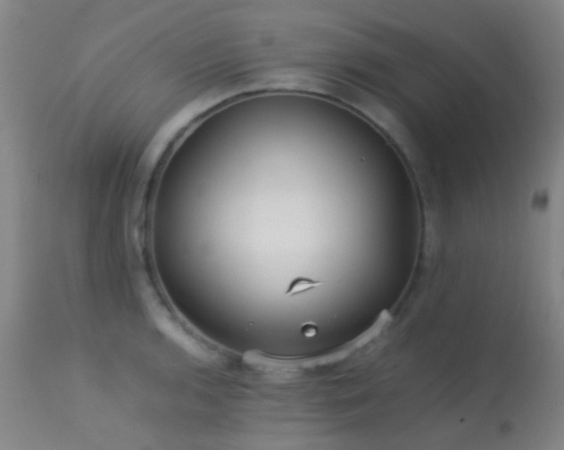 X0000113251136200909171619