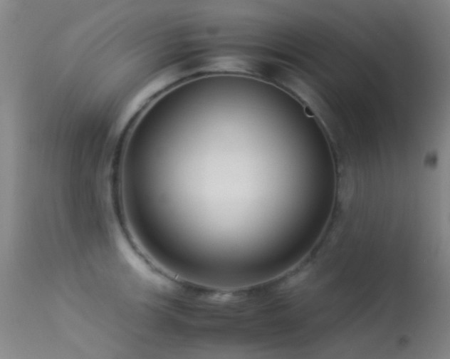 X0000113251139200909171620