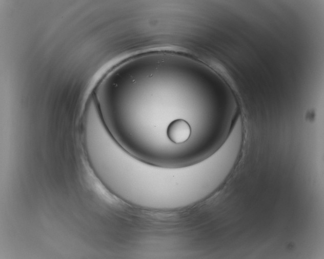 X0000113251140200909171620