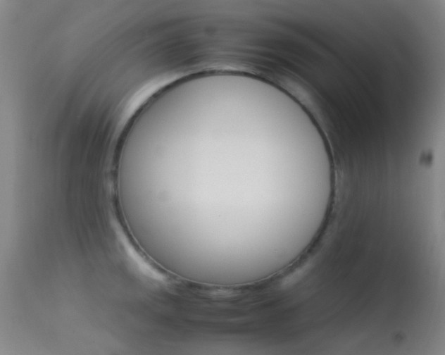 X0000113251141200909171620