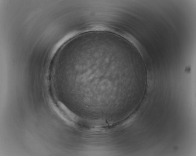 X0000113251142200909171620