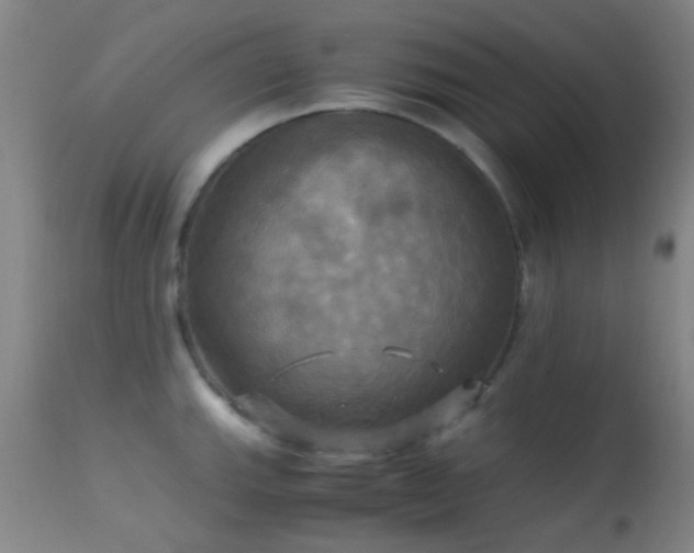 X0000113251143200909171620