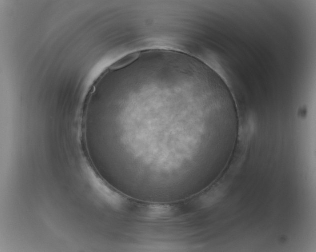 X0000113251144200909171620