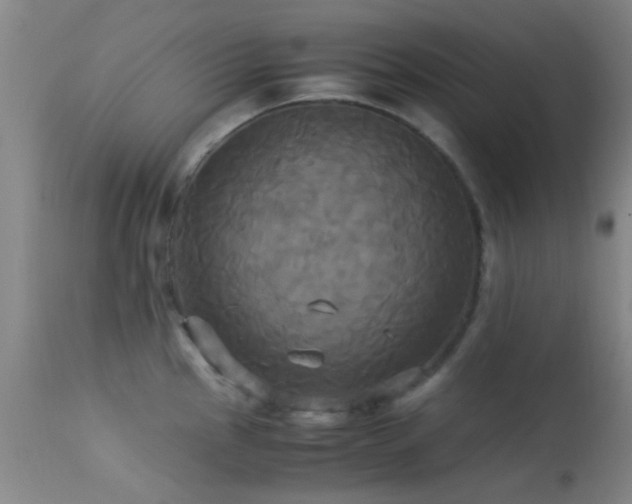 X0000113251145200909171620