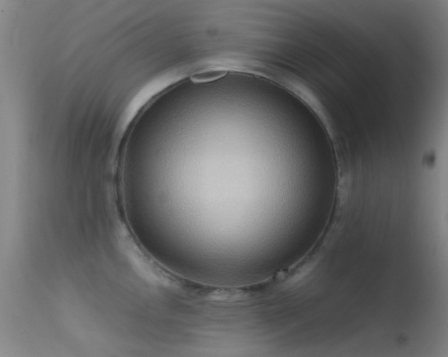 X0000113251146200909171620