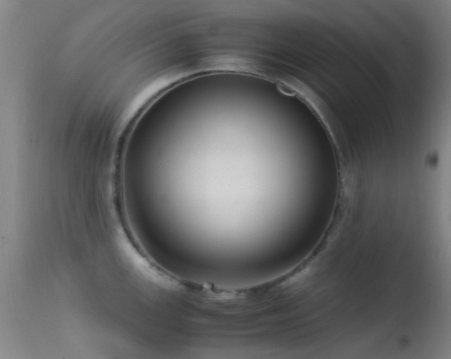 X0000113251147200909171620