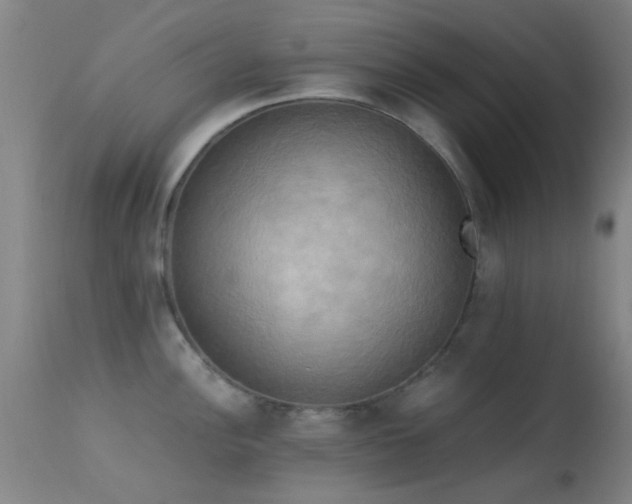 X0000113251148200909171620