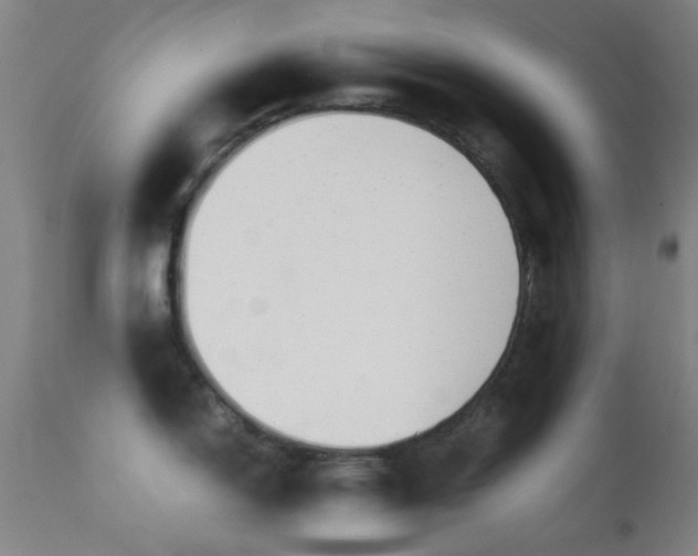 X0000113251150200909171620