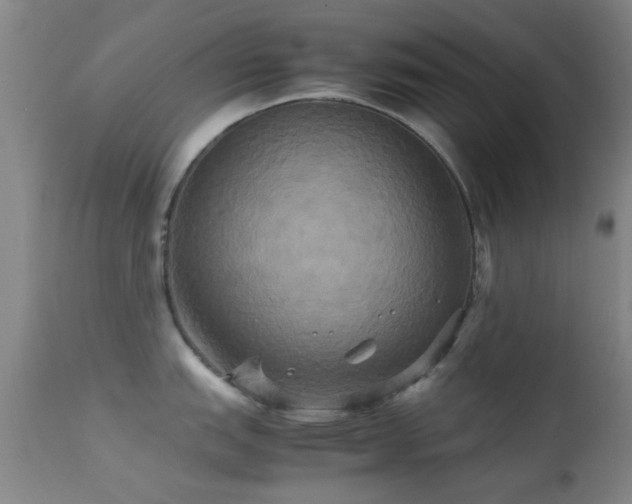 X0000113251151200909171620