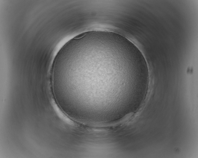 X0000113251152200909171620