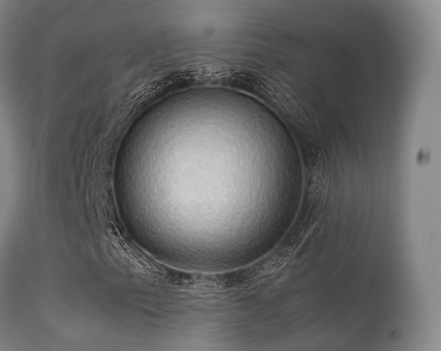 X0000113251153200909171619