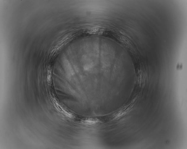 X0000113251154200909171619