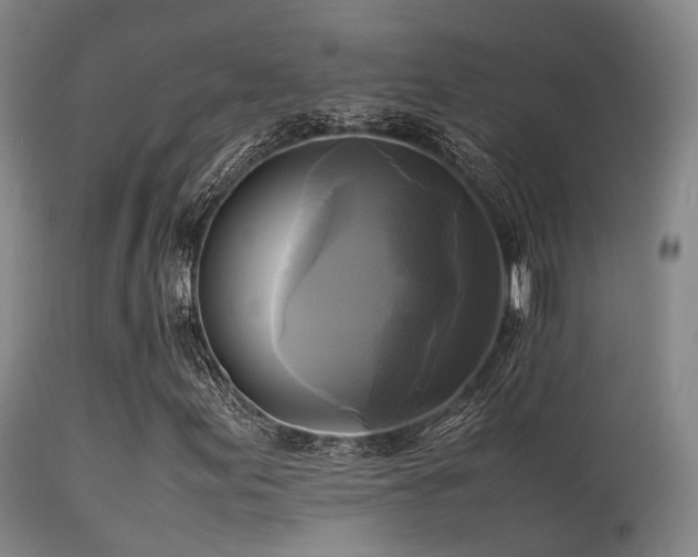 X0000113251155200909171619