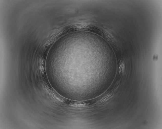 X0000113251156200909171619