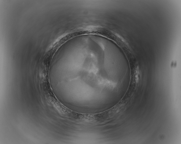 X0000113251158200909171619