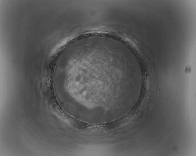 X0000113251159200909171619