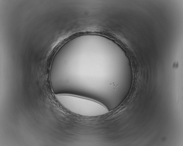 X0000113251160200909171619