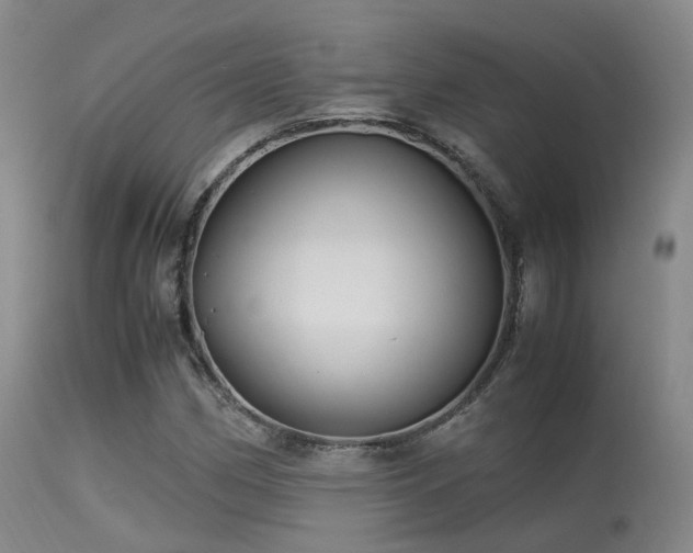 X0000113251162200909171619