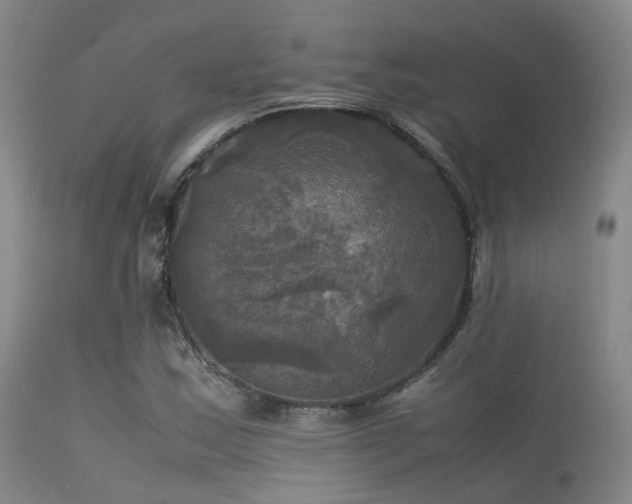 X0000113251163200909171619