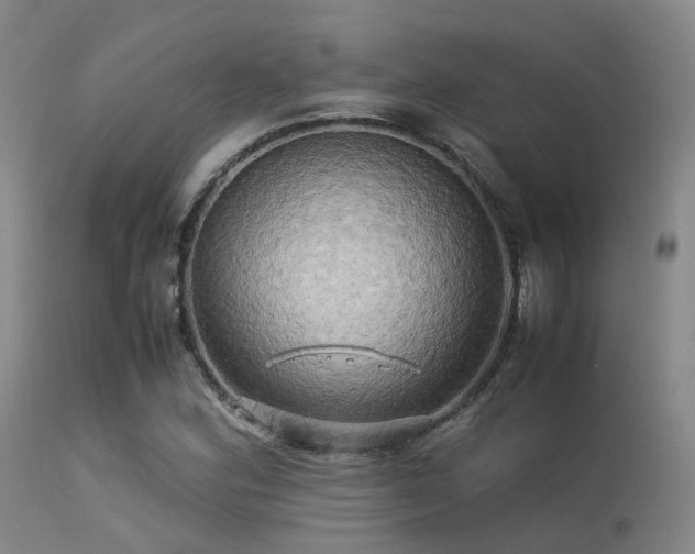 X0000113251164200909171619