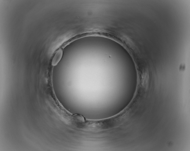 X0000113251165200909171619