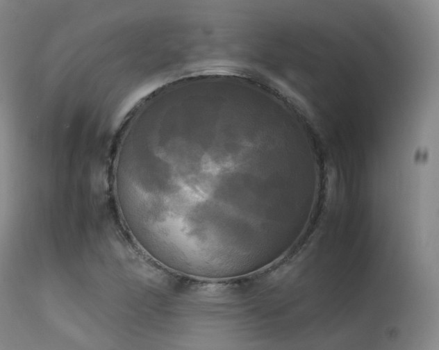 X0000113251166200909171619