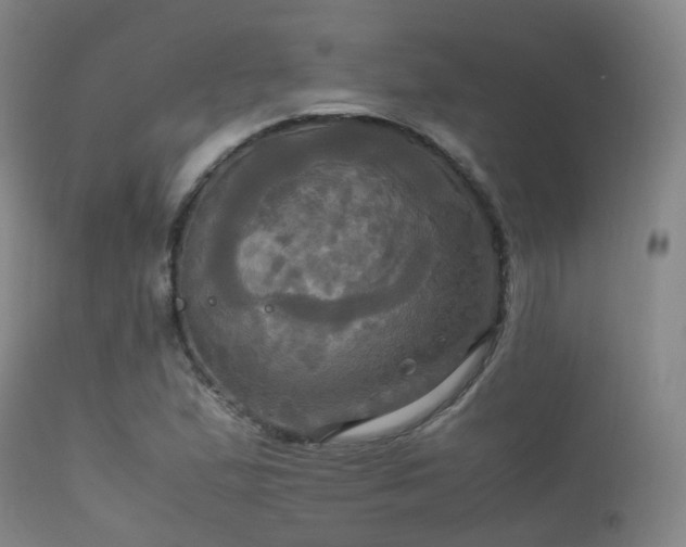 X0000113251167200909171619