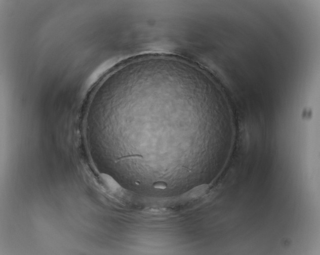 X0000113251168200909171619