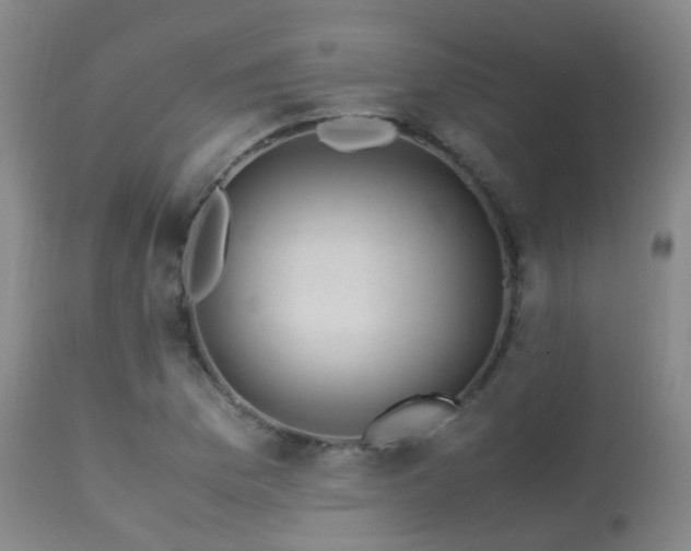 X0000113251169200909171619