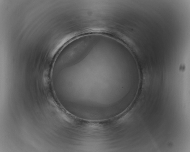 X0000113251170200909171619