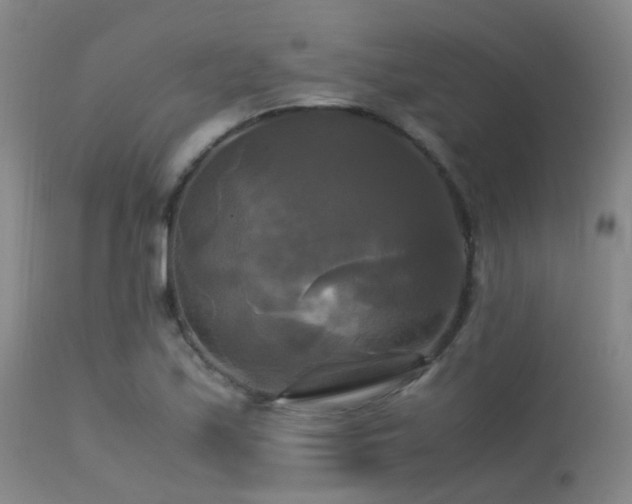 X0000113251171200909171619