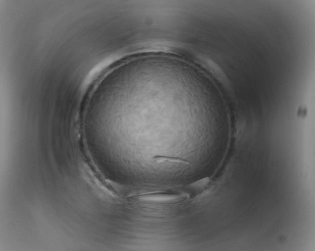 X0000113251172200909171619