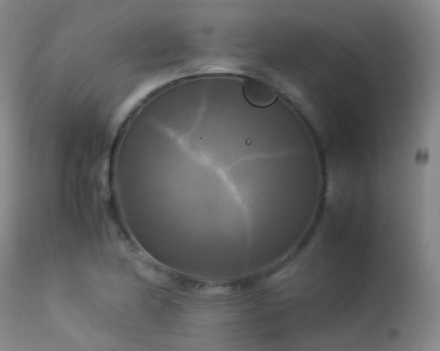 X0000113251174200909171619