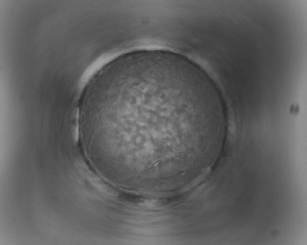 X0000113251175200909171619