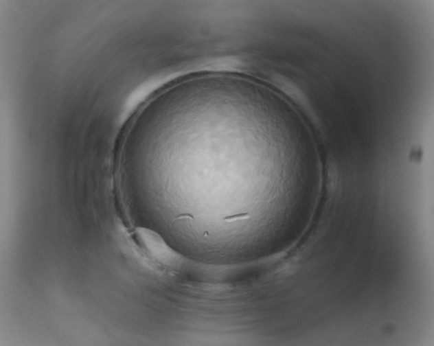 X0000113251176200909171619