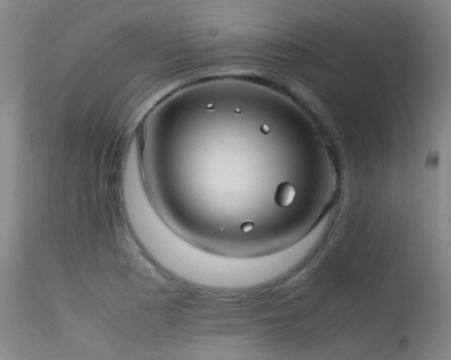 X0000113251177200909171619