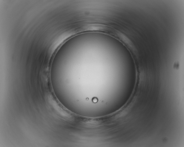 X0000113251178200909171619